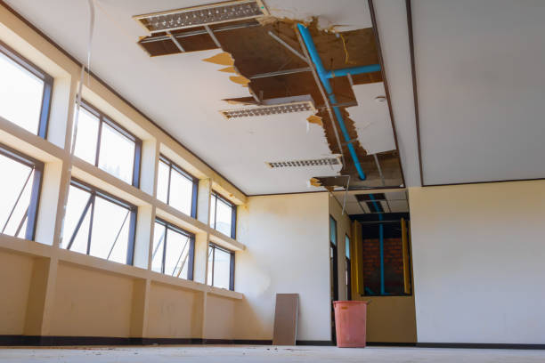 Best Fire Damage Restoration  in Macclenny, FL