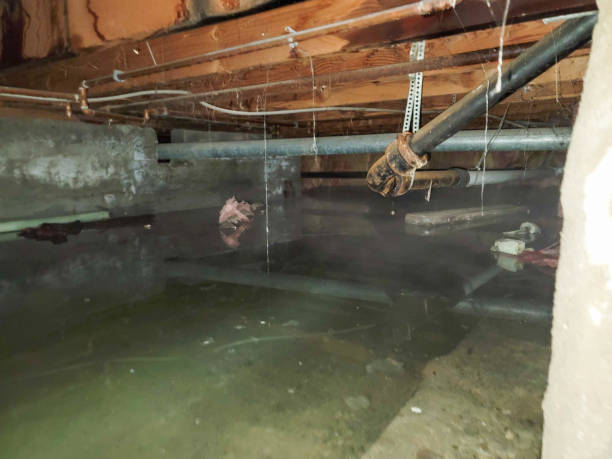 Best Water damage repair service  in Macclenny, FL