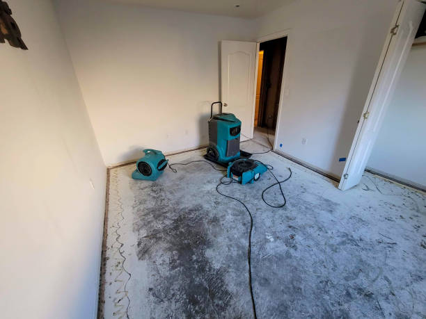Best Commercial water damage restoration  in Macclenny, FL