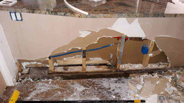 Best Carpet water damage restoration  in Macclenny, FL