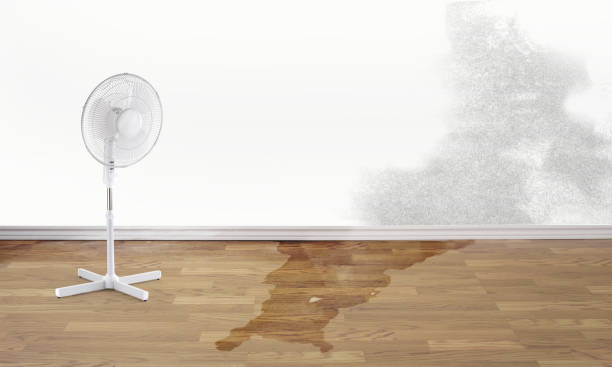 Best Water damage restoration near me  in Macclenny, FL