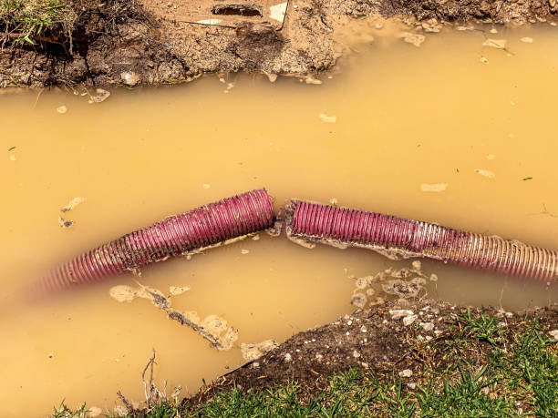 Best Local water damage restoration  in Macclenny, FL
